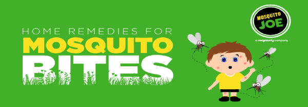 A banner for home remedies for mosquito bites.