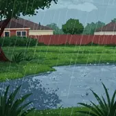Illustration of rain in the yard