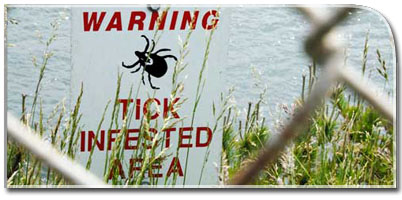 Post of Lyme Disease Awareness Month