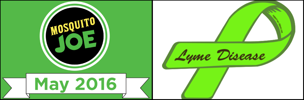 Lyme Disease Awareness Month 2016