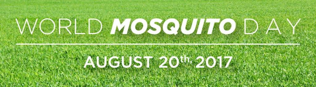 What is World Mosquito Day All About?