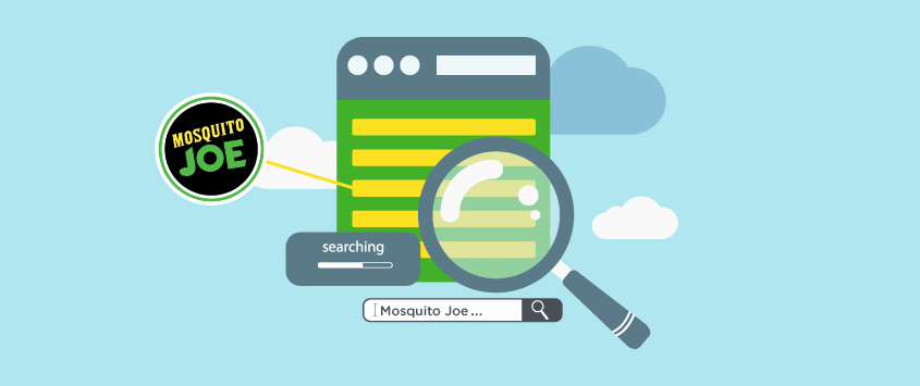 Most Searched Mosquito Joe Keywords