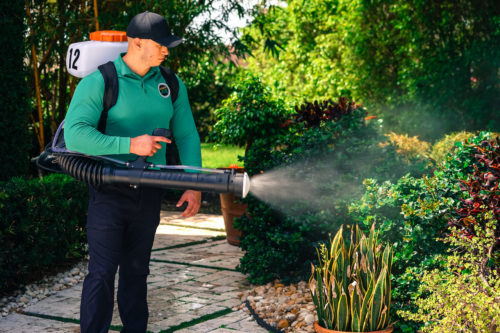 Mosquito Joe technician spraying barrier treatment on garden plants