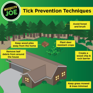Tick Prevention Techniques