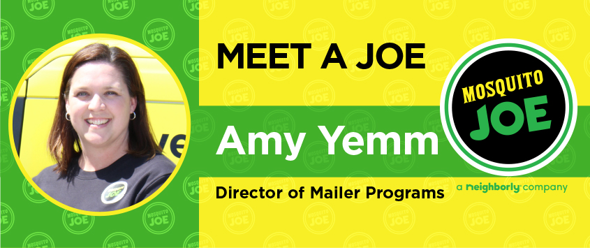 Meet a Joe: Amy Yemm