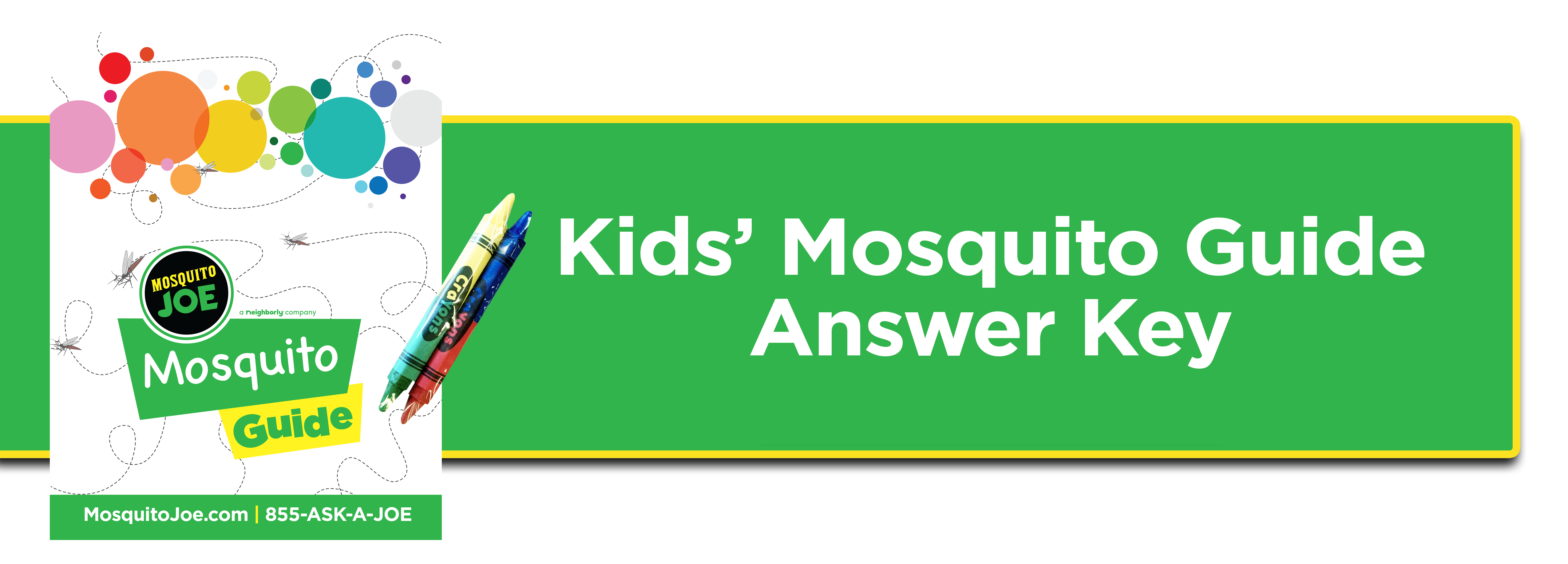Kids' Mosquito Answer Key