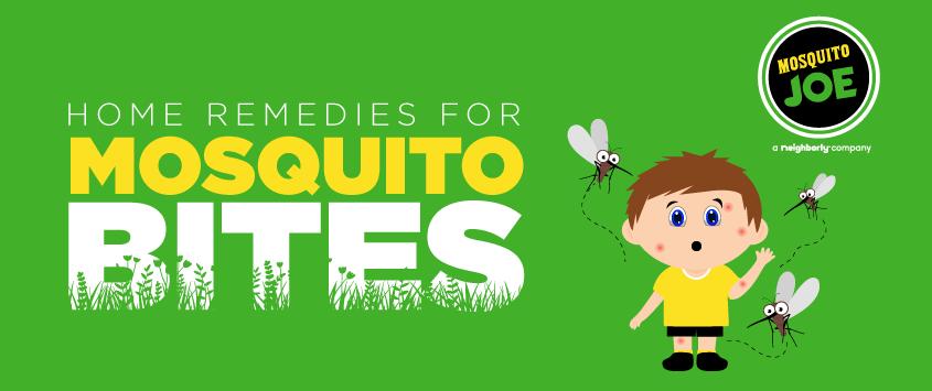 Home Remedies for Mosquito Bites
