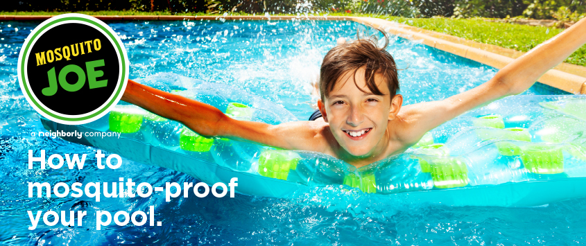 How to Mosquito Proof Your Pool