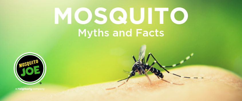 Post of Mosquito Myths and Facts
