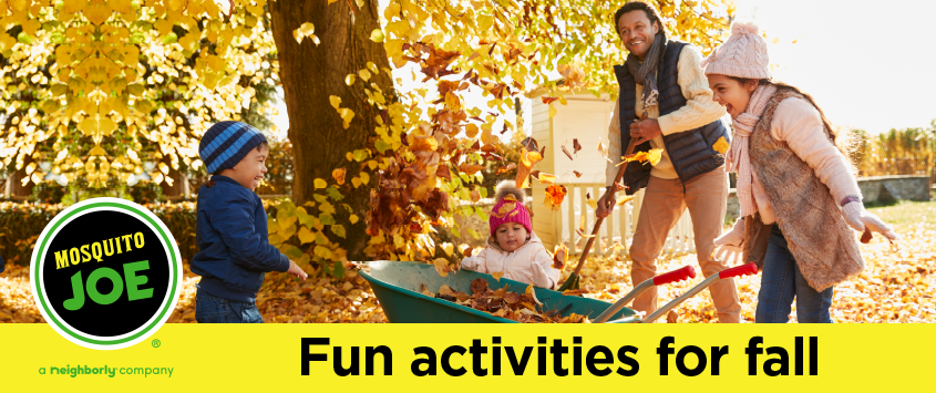 Post of Fun Activities for Fall