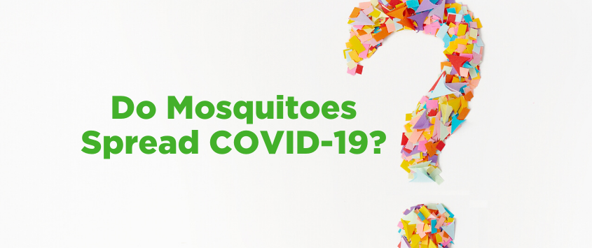 Post of Do Mosquitoes Spread Coronavirus?