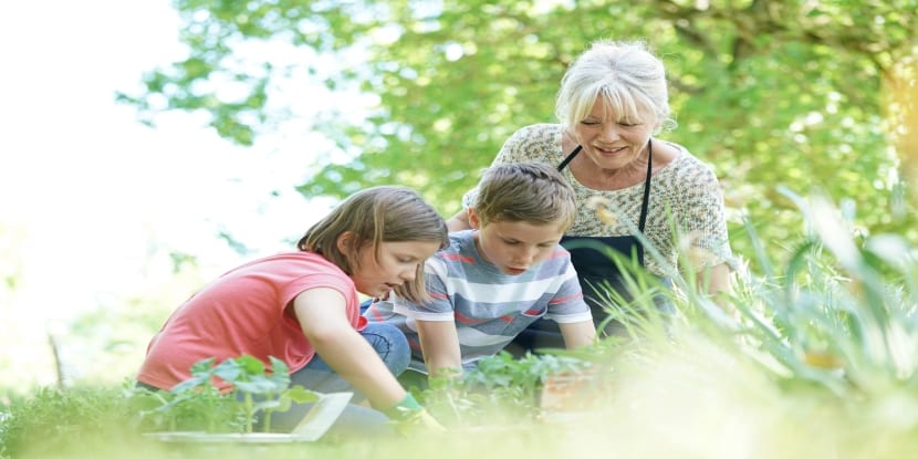 Post of How to Keep the Fun in Outdoor Activities for Your Grandkids