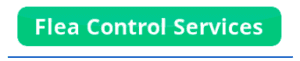 flea control services icon