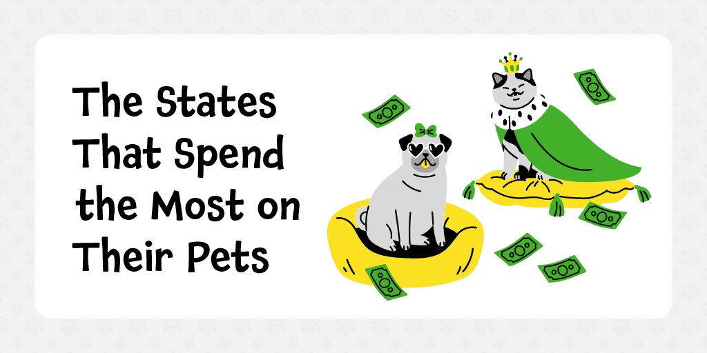 States That Spend the Most on Their Pets