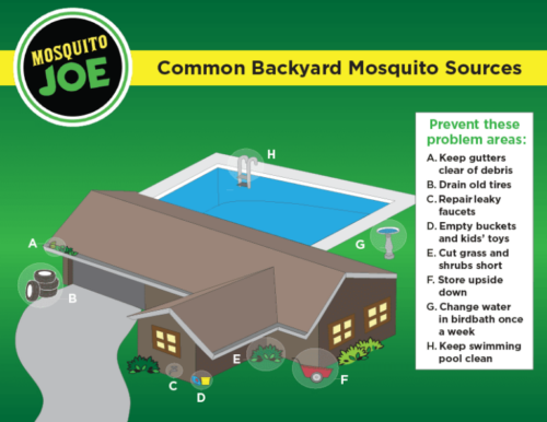 common backyard moquito sources