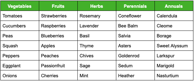 table of plants attracted by bees